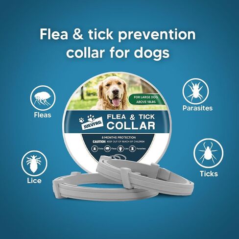 Dog Flea Tick Collar, Flea & Tick Prevention for Dogs, 8 Months Protection Dog Flea Collar, Adjustable Collar Fits Large Dogs & Puppies, Flea Treatment Collar for Dogs 2 Pack in Saudi Arabia
