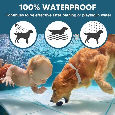 Dog Flea Tick Collar, Flea & Tick Prevention for Dogs, 8 Months Protection Dog Flea Collar, Adjustable Collar Fits Large Dogs & Puppies, Flea Treatment Collar for Dogs 2 Pack in Saudi Arabia