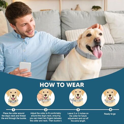 Dog Flea Tick Collar, Flea & Tick Prevention for Dogs, 8 Months Protection Dog Flea Collar, Adjustable Collar Fits Large Dogs & Puppies, Flea Treatment Collar for Dogs 2 Pack in Saudi Arabia