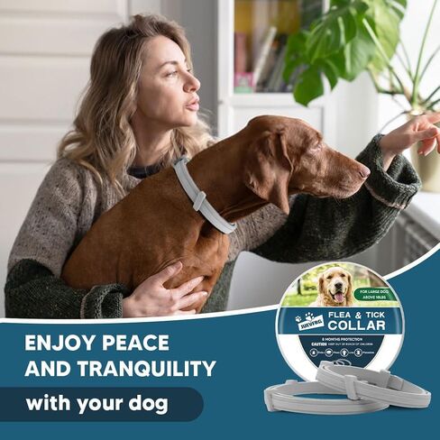 Dog Flea Tick Collar, Flea & Tick Prevention for Dogs, 8 Months Protection Dog Flea Collar, Adjustable Collar Fits Large Dogs & Puppies, Flea Treatment Collar for Dogs 2 Pack in Saudi Arabia
