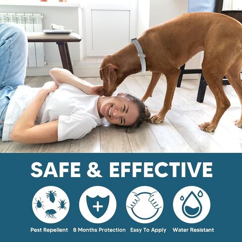 Dog Flea Tick Collar, Flea & Tick Prevention for Dogs, 8 Months Protection Dog Flea Collar, Adjustable Collar Fits Large Dogs & Puppies, Flea Treatment Collar for Dogs 2 Pack in Saudi Arabia