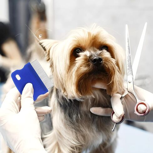 6 Pack Tick Flea Comb, Stainless Steel Dog Cat Grooming Combs with Rounded Teeth, Flea Brush for Cats Lice combs, Thick Hair Pet Tear Stain Comb, Fine Tooth Comb Dematting Tool for Dog Cat in Kuwait