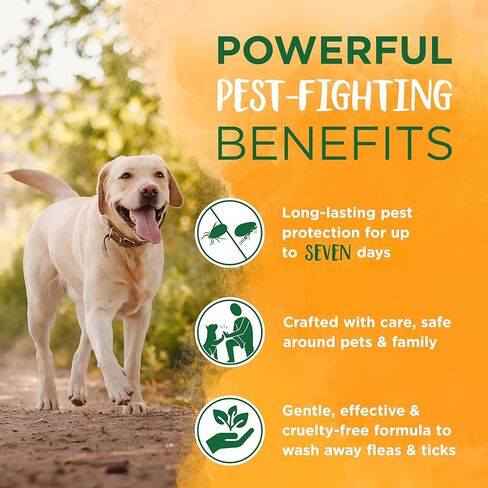 مجموعة شامبو ورذاذ الفراش الطبيعي المهدئ للبراغيث والقراد | الوقاية من البراغيث والقراد | شامبو الكلب | علاج البراغيث والقراد يحمي ويصد | صنع في الولايات المتحدة الأمريكية in Kuwait