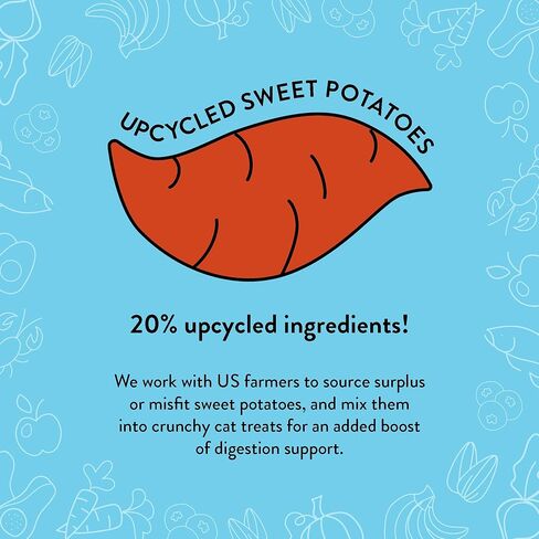 Shameless Pets Crunchy Cat Treats - Catnip Treats for Cats with Digestive Support, Kitten Treats with Real Chicken, Natural & Healthy Flavored Feline Snacks - Catnip N Chill, 1-Pk (12 Oz) in Kuwait