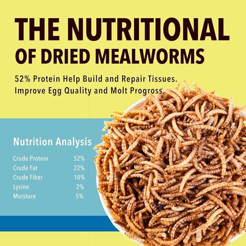 10lb Dried Mealworms for Wild Birds Chickens Feed for Laying Hens,Ducks,Reptiles in Saudi Arabia