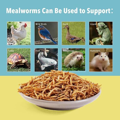 10lb Dried Mealworms for Wild Birds Chickens Feed for Laying Hens,Ducks,Reptiles in Saudi Arabia