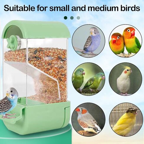 No Mess Bird Cage Feeder Automatic Parakeets Seed Food Container Acrylic Parrot Feeder Cage Accessories Transparent Small and Medium Lovebirds Canary Cockatiel Finch (Green) in Saudi Arabia