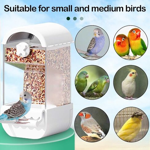 No Mess Bird Cage Feeder Automatic Parakeets Seed Food Container Acrylic Parrot Feeder Cage Accessories Transparent Small and Medium Lovebirds Canary Cockatiel Finch (Green) in Saudi Arabia