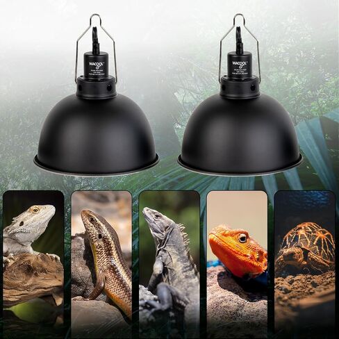 Reptile Light Fixture 2 Pack, 8.5 in Deep Dome Reptile Heat Lamp Fixture, Optical Reflection Terrarium Light Fixture for Reptile UVB UVA Heat Basking Bulbs, Separate Switch & Hook in Kuwait