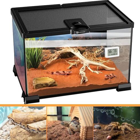 إكسسوارات خزان الزواحف، مقياس حرارة خزان التنين الملتحي، مقياس الرطوبة للفهد أبو بريص، العنكبوت القفز، الأفعى، أبو بريص، الكرة بايثون، السحلية (عبوتان) in Kuwait