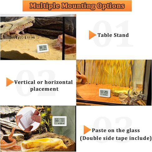 إكسسوارات خزان الزواحف، مقياس حرارة خزان التنين الملتحي، مقياس الرطوبة للفهد أبو بريص، العنكبوت القفز، الأفعى، أبو بريص، الكرة بايثون، السحلية (عبوتان) in Kuwait