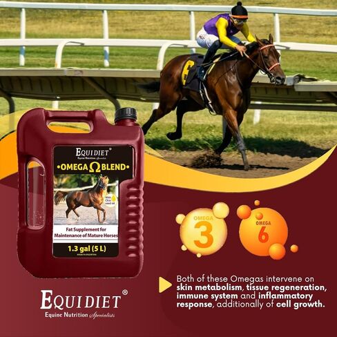 OMEGA BLEND supplement - horse weight gain supplement - supplement cool calories horse - for horses - Omega 3 and 6 - Natural Antioxidants Chia Canola - Stimulates muscle development in Saudi Arabia