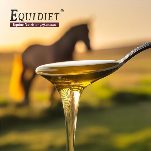 OMEGA BLEND supplement - horse weight gain supplement - supplement cool calories horse - for horses - Omega 3 and 6 - Natural Antioxidants Chia Canola - Stimulates muscle development in Saudi Arabia