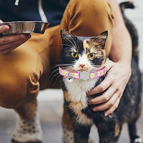 AIITLE 2 Pack Breakaway Cat Collar with Bell, Adjustable Flower Printing Cat Collars for Girl Cats and Boy Cats, Kittens, Puppy, Soft Stylish Flower Patterns Cat Collars, Chocolate & Hot Pink in Saudi Arabia