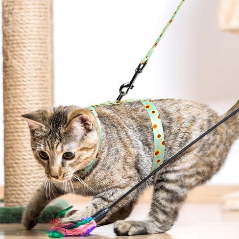 Leekalos Cat Harness and Leash for Walking,Cats Escape Proof - Adjustable Kitten Harness for Large Small Cats, Use Safe & Easy,Fit for Puppy,Rabbit in Saudi Arabia
