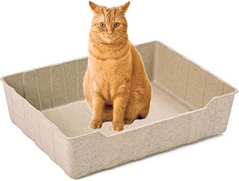 Disposable Litter Box 3 ct in Saudi Arabia