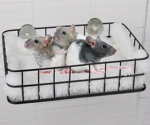 منصة قفص الفئران، ألعاب شينشيلا وإكسسوارات القفص المعدنية، منحدر ليدج مناسب للنمس، خنزير غينيا، طائرة شراعية السكر - أسود in Kuwait