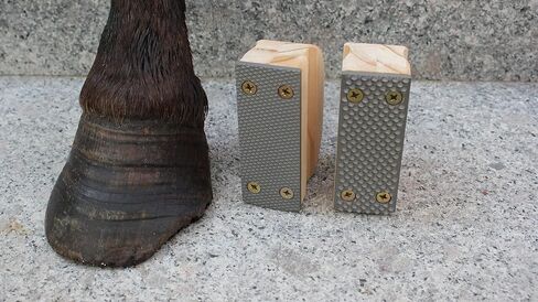 Farrier Rasp with Wooden Handle, Hoof File, Equine Hoof Rasp,Hoof Trimming File (Coarse Tooth) in Saudi Arabia
