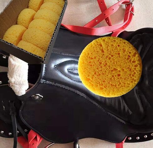 علبة تحتوي على 12 اسفنجة تك (ثقوب خشنة) in Kuwait