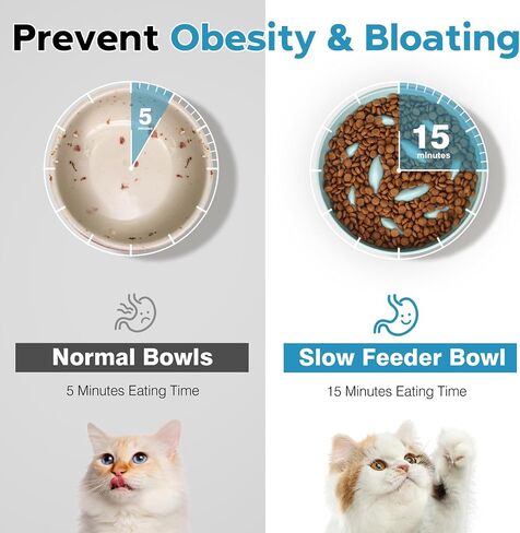 2PCS Cat Slow Feeder Bowl, Cat Food Bowl with Fish Pool Design, Healthy Eating Diet Pet Bowl, Interactive Puzzle Feeder Dish for Cats Kittens, Non-Slip Anti Gulping Cat Bowl for Dry and Wet Food in Saudi Arabia
