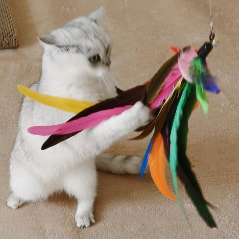 Cat Toy 2PCS Ultra-Long Cat Teaser(50"+38")+9PCS Da Bird Feather Refills,Cat Fishing Pole Toy,Interactive Cat Toys -Retractable Cat Wand Toy and Feather Toys Refills for Indoor Cats in Saudi Arabia