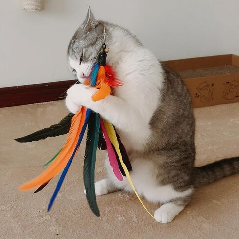 Cat Toy 2PCS Ultra-Long Cat Teaser(50"+38")+9PCS Da Bird Feather Refills,Cat Fishing Pole Toy,Interactive Cat Toys -Retractable Cat Wand Toy and Feather Toys Refills for Indoor Cats in Saudi Arabia