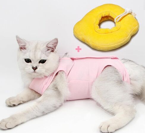 2PCS Cat Cone Collar and Cat Recovery Suit, Anti-Bite, Stop Licking Wounds, Adjustable Soft Elizabethan Cone, Cat Onesie for Female Cat After Surgery in Saudi Arabia