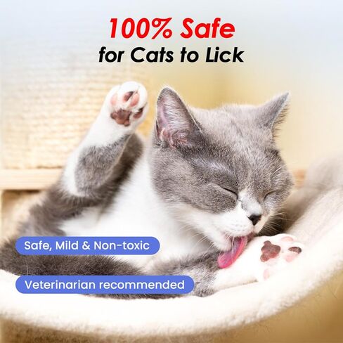 7oz Waterless Cat Shampoo with Cat Brush - No Rinse Foam Dry Shampoo | Deep Cleansing Relieves Itchy Skin | Gentle, pH-Balanced for Kittens Sensitive Skin | Specifically for Cat Bath in Saudi Arabia