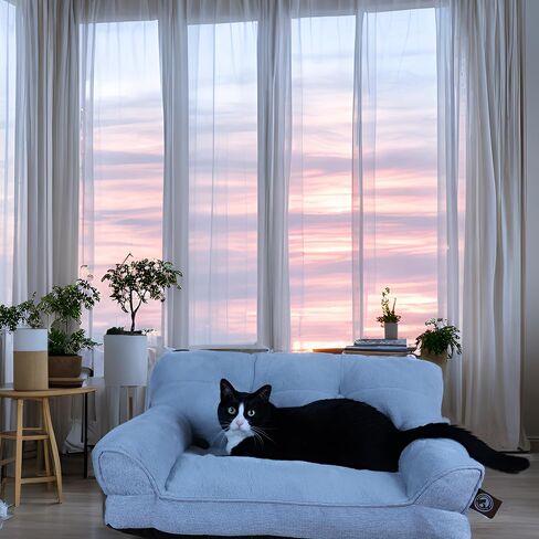 Pet Couch Bed, Washable Cat Beds for Medium Small Dogs & Cats up to 25 lbs, Soft Calming Cat Sofa Beds for Indoor Cats Anti-Slip Bottom，Fluffy Cat Couch (White) in Saudi Arabia