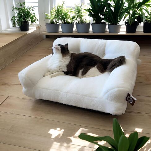 Pet Couch Bed, Washable Cat Beds for Medium Small Dogs & Cats up to 25 lbs, Soft Calming Cat Sofa Beds for Indoor Cats Anti-Slip Bottom，Fluffy Cat Couch (White) in Saudi Arabia