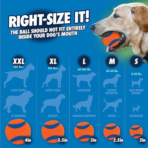 Chuckit Sport 25M Dog Ball Launcher, 25" Length, Includes Medium Ball (2.5") For Dogs 20-60 Pounds in Saudi Arabia