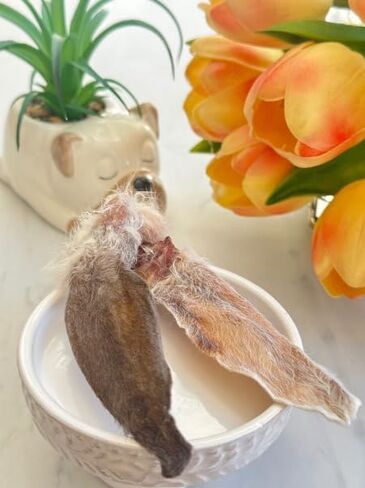 Dehydrated Rabbit Ears for Dogs & Cats, European Furry Rabbit Ear Natural Fiber for Dogs, Rawhide Free Alternative to Pig Ears for Dogs, Pack of 10 to 15 Ears (Size Varies) in Saudi Arabia