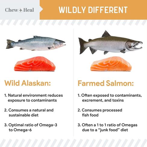 Chew + Heal Labs Omega Salmon Jerky Dog Treats - 5 oz of Soft Salmon Jerky for Skin and Coat - Made with Wild Alaskan Salmon, Flaxseed, Oat Flour, and More - Made in The USA in Saudi Arabia