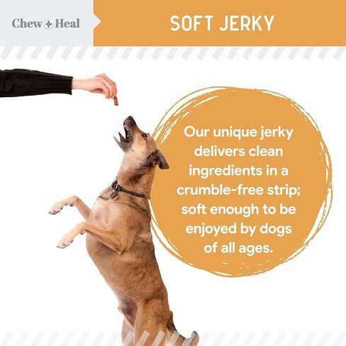 Chew + Heal Labs Omega Salmon Jerky Dog Treats - 5 oz of Soft Salmon Jerky for Skin and Coat - Made with Wild Alaskan Salmon, Flaxseed, Oat Flour, and More - Made in The USA in Saudi Arabia