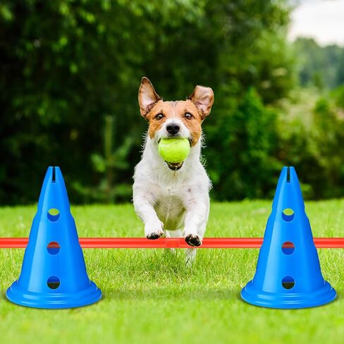 10 مجموعات من حواجز خفة الحركة للكلاب، مجموعة مخروطية مكونة من 20 قطعة من مخاريط التمرين مع 10 قطع من قضبان خفة الحركة وتدريبات خفة الحركة القابلة للتعديل ومعدات تدريب خفة الحركة المحمولة ومخاريط أقطاب خفة الحركة للكلاب (أزرق) in Kuwait
