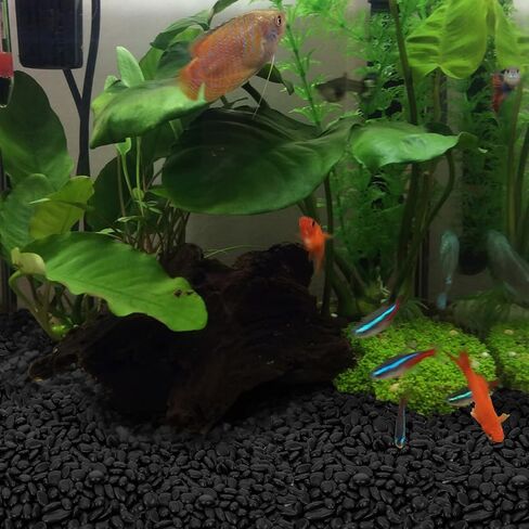 Black Polished Pebbles, 3/8" Aquarium Rocks for Indoor Plants, Decorative River Rocks Gravel for Vase, Garden, Landscaping (5-lb Bag) in Kuwait