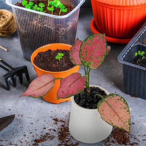 Black Polished Pebbles, 3/8" Aquarium Rocks for Indoor Plants, Decorative River Rocks Gravel for Vase, Garden, Landscaping (5-lb Bag) in Kuwait