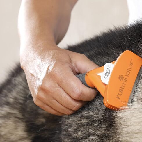 FURminator Undercoat deShedding Tool for Medium Short Hair Dogs 9-23 kg, T691665 in Kuwait