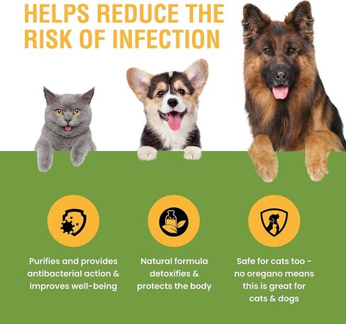 علاج طبيعي واسع النطاق للقطط والكلاب ضد الطفيليات والسموم، دعم وسلالات المعالجة المثلية، صنع في الولايات المتحدة الأمريكية، 2 أونصة in Kuwait