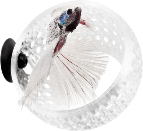 The Original Cave Lounge - Betta Fish Tank Accessories, Swim-Through Hideout Ornament for Small Fish and Shrimp, Aquarium Decoration with Plant Holder - Authentic Design (Large, Yellow Green) in Saudi Arabia