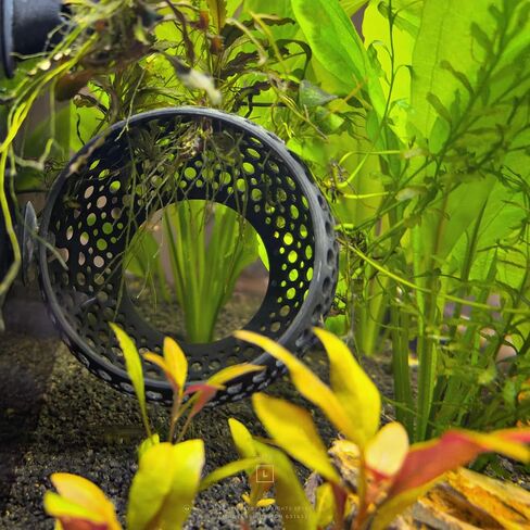 صالة الكهف، زخرفة حوض السمك المخبأ مع كوب شفط للبيتا والأسماك والروبيان للسباحة والاختباء والراحة - ديكور حوض السمك مع حامل نباتي (متوسط، أبيض شفاف) in Kuwait