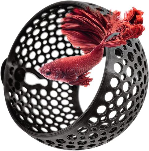 صالة الكهف، زخرفة حوض السمك المخبأ مع كوب شفط للبيتا والأسماك والروبيان للسباحة والاختباء والراحة - ديكور حوض السمك مع حامل نباتي (متوسط، أبيض شفاف) in Kuwait