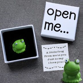 I Love You Gift, Frog Gift, Gift For Boyfriend, Gift For Girlfriend, Frog Keepsake, Matchbox Gift, Valentine's Day Gift for Her.