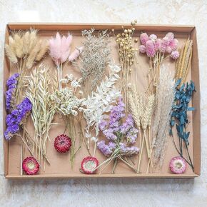 DIY Dried Flower Set, Bulk Dried Flowers,Handmade Ideas, DIY Flower Set Bouquet, Door Hanging Wreath, Desktop Decoration Mini Dried Flower (Pink)
