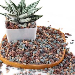 2.4lb Mix Horticultural Lava Rock Pebbles Pumice Potting Soil Amendment Succulent Cactus Bonsai Gritty Rock Decorative Gravel Plant Drainage Volcanic Rock for Aquarium Fairy Gardening Top Dressing