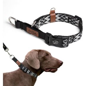 ANDA Martingale Dog Collar with Quick Release Buckle – Adjustable Training No Slip Dog Collar, Daily Use Walking and Training (Chevron Black, Large)