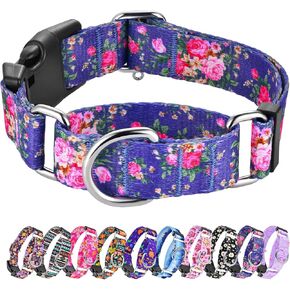 Martingale Collar for Dogs Peach Dog Collar for Small Medium Large Dogs Cute Holiday Summer Dog Collars Pet Gift (Peach,Medium)
