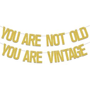 YOU ARE NOT OLD YOU ARE VINTAGE Banner,I'm Not Old I'm Classic Banner,Funny 30th/40th/50th/60th Birthday Party Decorations,Vintage Birthday for Women Men Party Supplies Gold