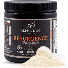 Resurgence Dog Electrolytes by Alpha Dog Nutrition | Promote Dog Hydration, Increase Stamina, and Boost Recovery | Electrolyte Water Additive or Food Topper to Prevent Dehydration with Beef Flavoring