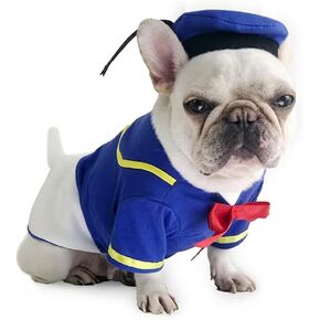 Dog Costume, Cat Costume, Donald Duck Cosplay, Pet Clothes, Cute Cloth, Funny Costume for Small Dog, Cat, Teddy, Ragdoll Cat, British Shorthair, Pitbull, Corgi, Shiba Inu (Large)